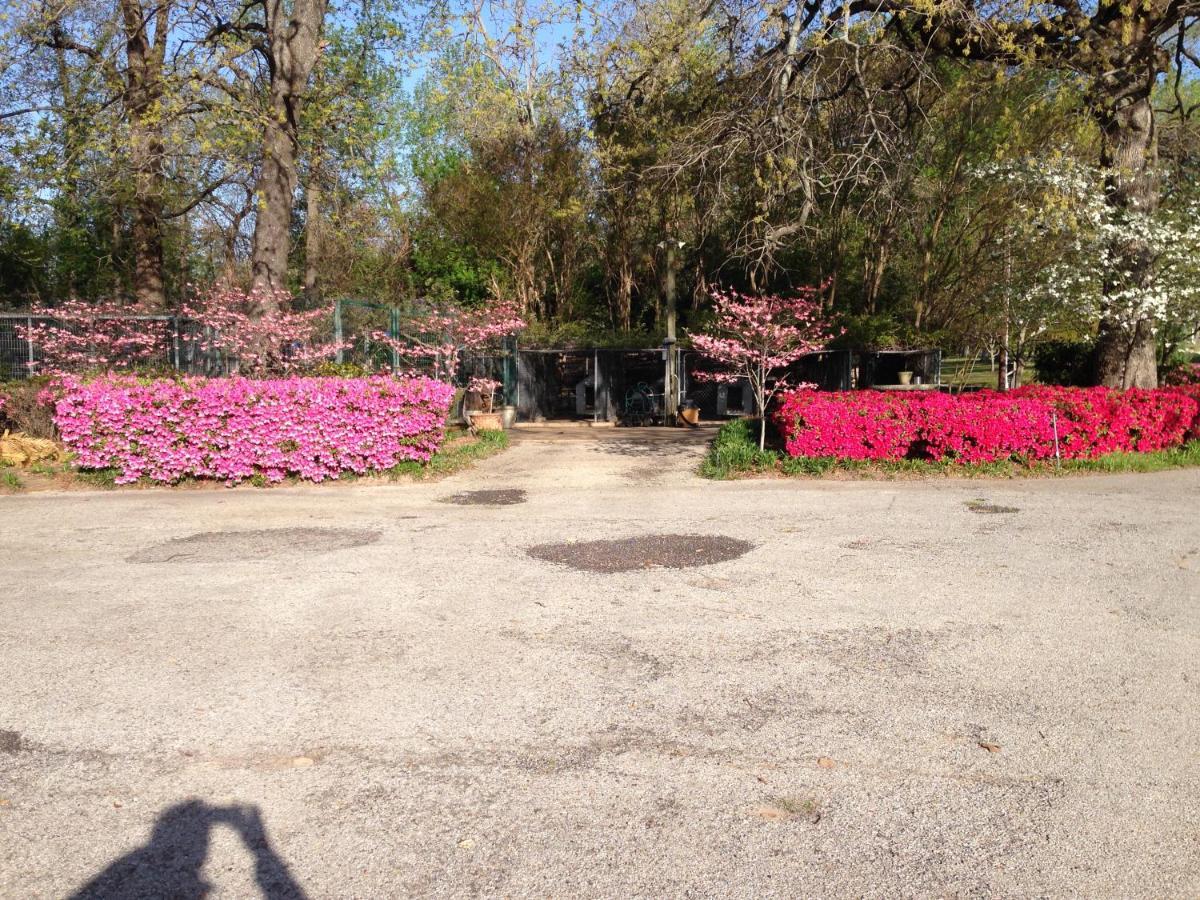 Dogwood Springs Lodgings Mineola Bagian luar foto
