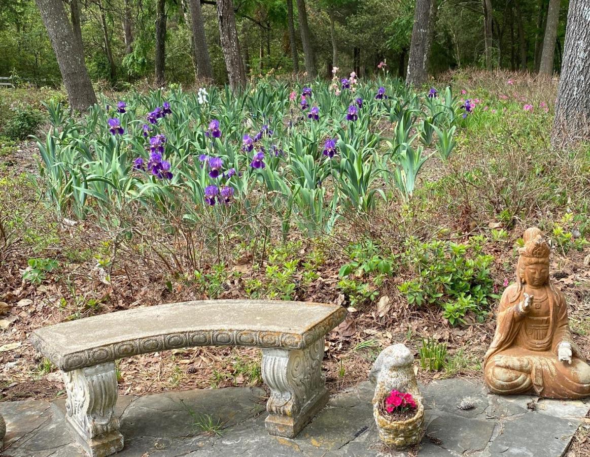 Dogwood Springs Lodgings Mineola Bagian luar foto