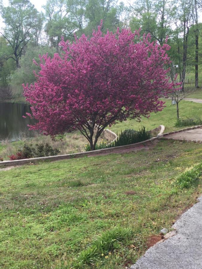Dogwood Springs Lodgings Mineola Bagian luar foto