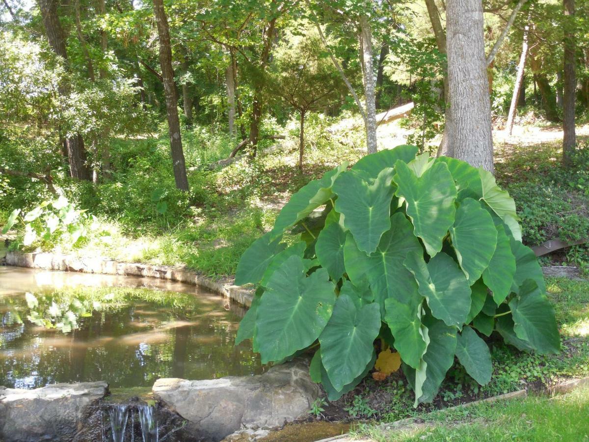 Dogwood Springs Lodgings Mineola Bagian luar foto