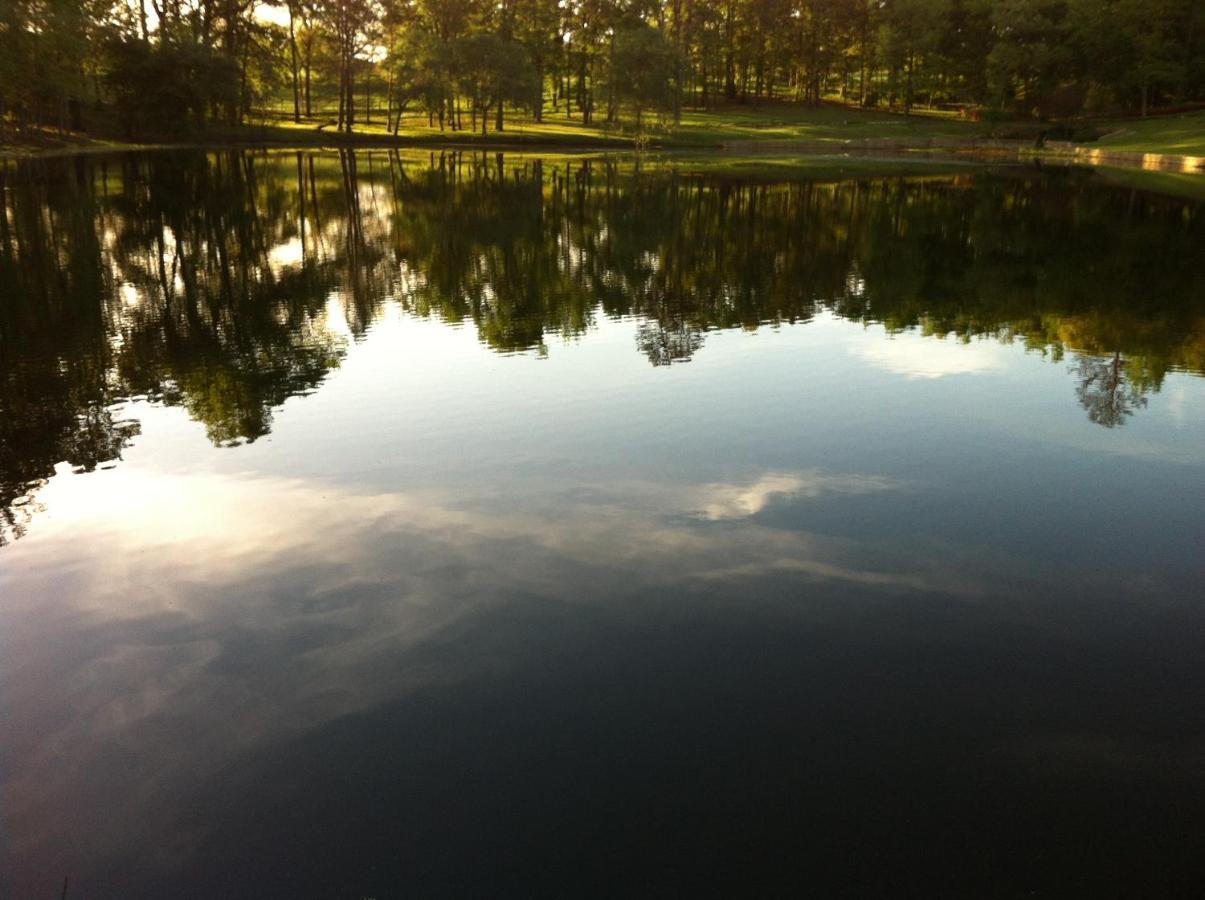 Dogwood Springs Lodgings Mineola Bagian luar foto