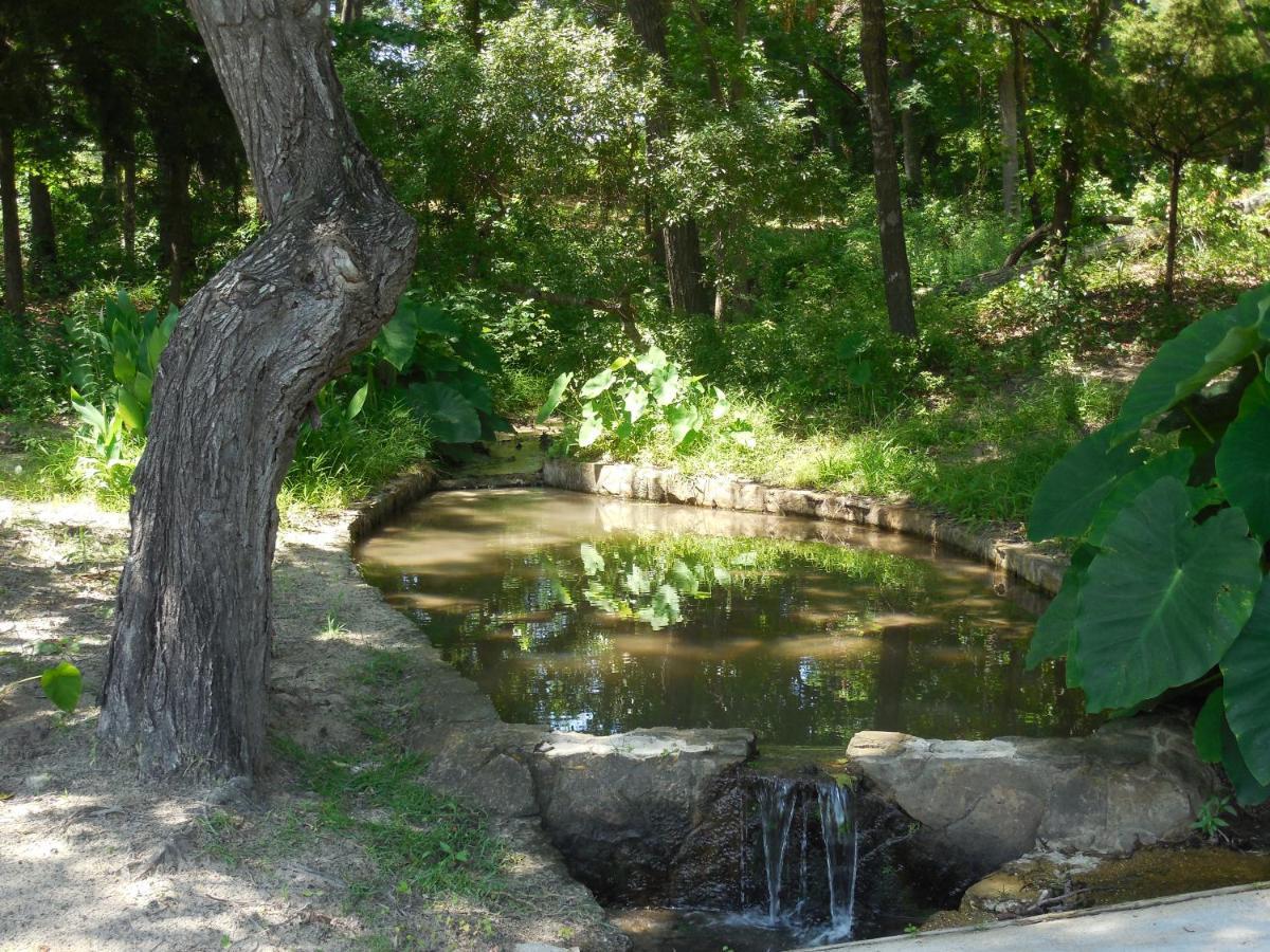 Dogwood Springs Lodgings Mineola Bagian luar foto