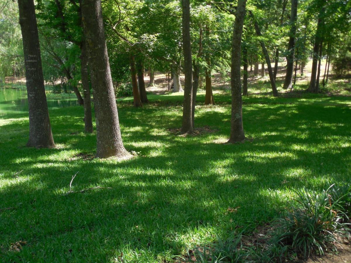 Dogwood Springs Lodgings Mineola Bagian luar foto